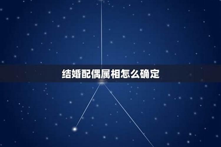 怎样推算属什么属相