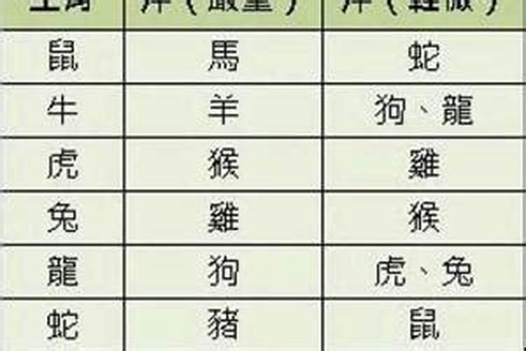 属相怎么区分