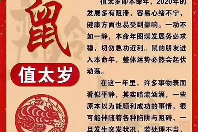 梦到去祖先坟是什么意思