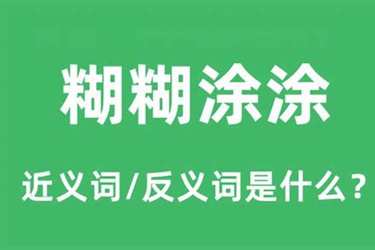 糊糊涂涂代表什么生肖动物