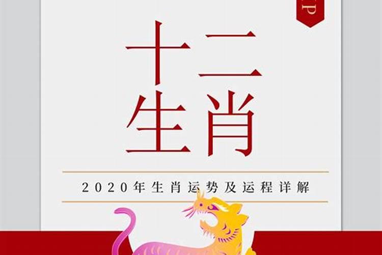 属虎的2020年财运