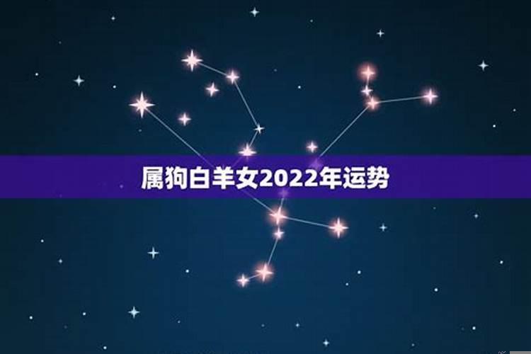 2022年生肖女狗的运势