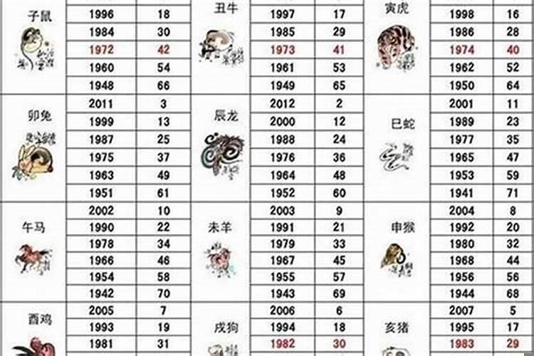 今年41岁属什么生肖今年多大