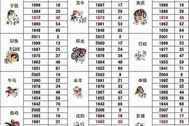 属马43岁是什么年