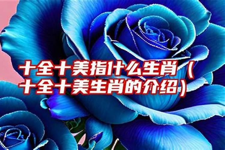 或弹或唱谁最美是什么生肖