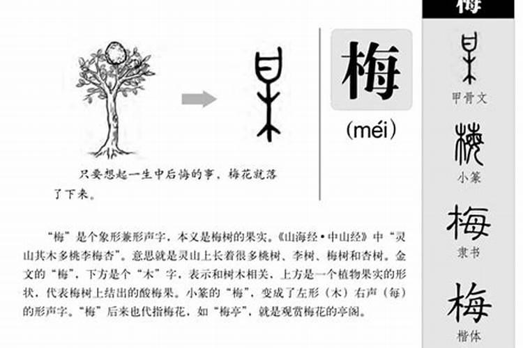 梅字的五行属性是什么