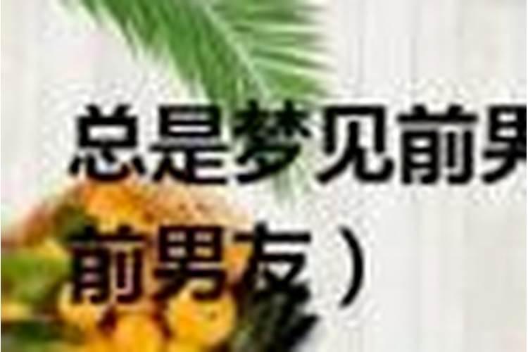 27岁岁属什么生肖的