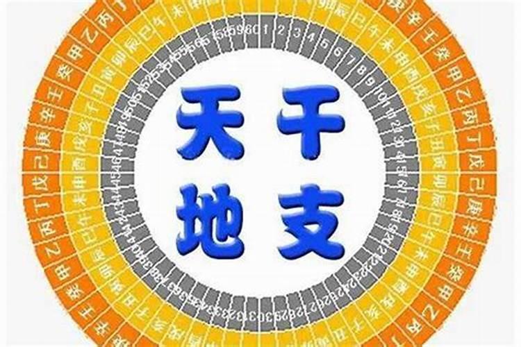 属兔的人今年多大岁