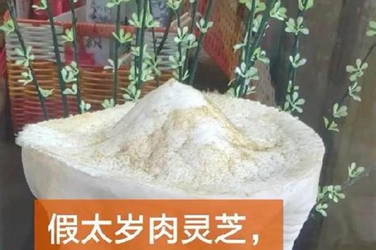 属虎的和属什么的最合适