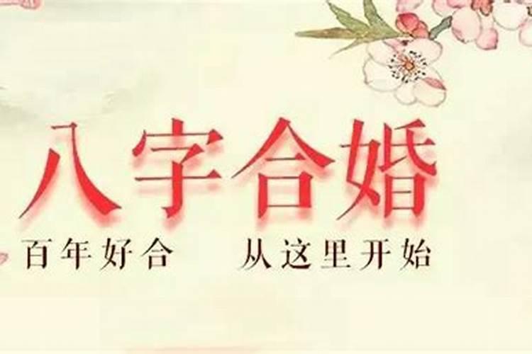 九牛一毛代表什么生肖属性