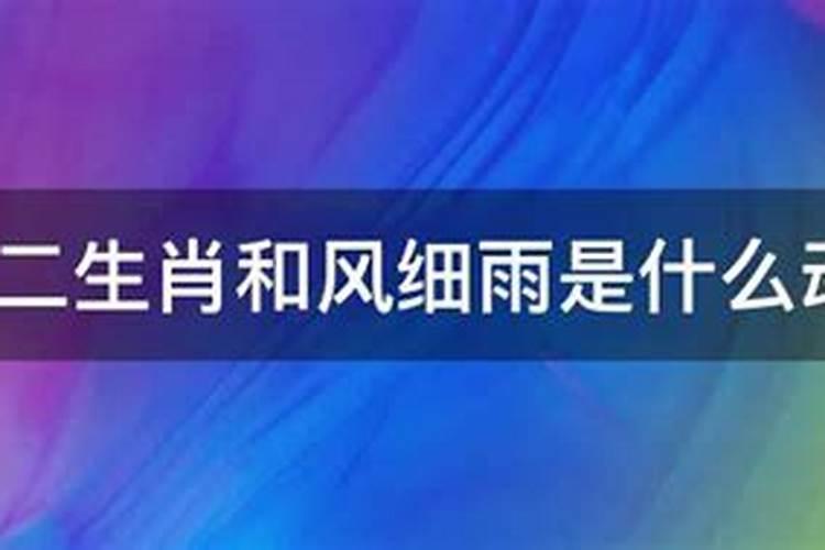 春风化雨指是什么生肖