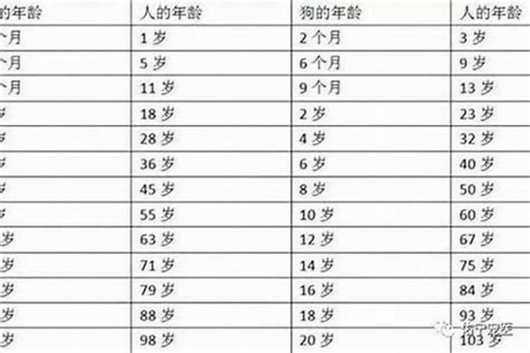 属羊最适合的婚配