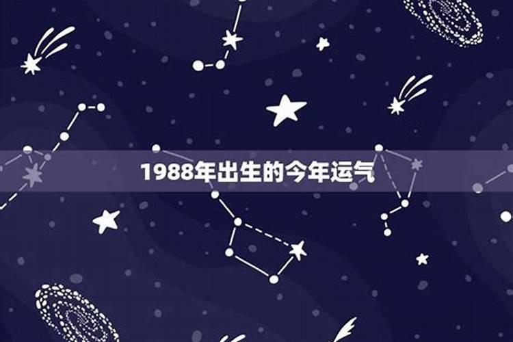 1988生人今年运势