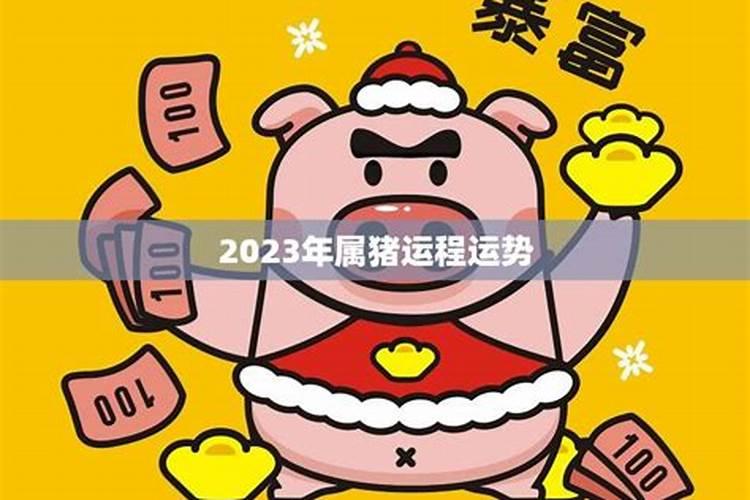 属猪2023流年运程