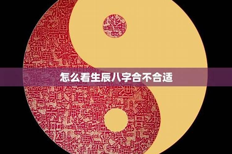 女孩五行都不缺取什么名字好