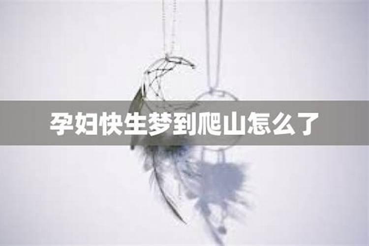 梦到别人抓鸟是什么意思啊