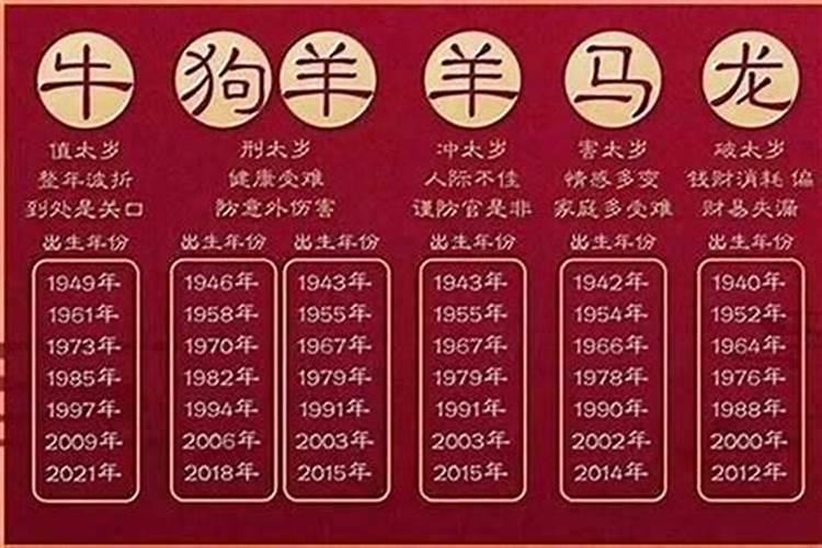 今年生肖年是什么年