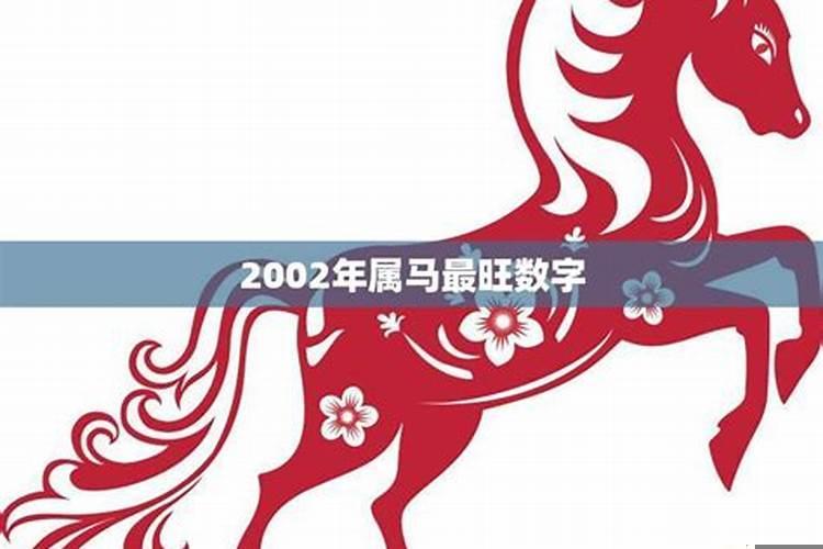 2002年的马属什么五行