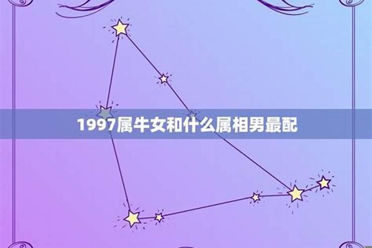 杨颖属什么生肖星座女