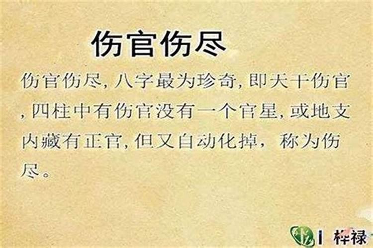 梦见一只可爱的小毛驴什么意思