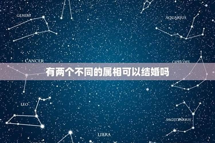 摩羯座都喜欢什么星座的女人