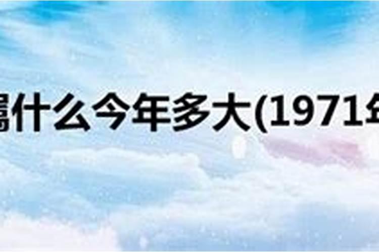 1971年属什么的今年多大