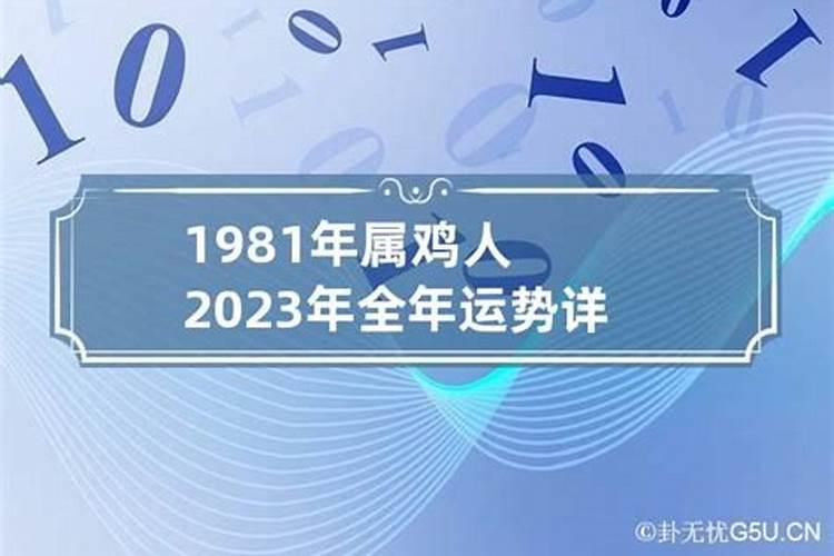 1981年属鸡2023年财运