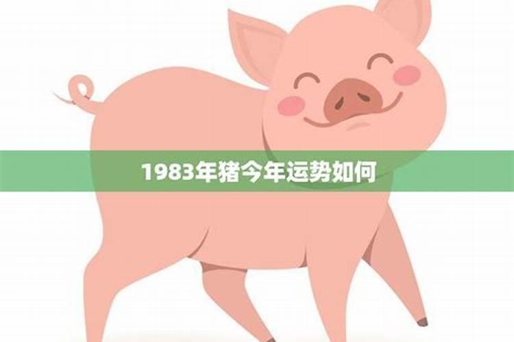 1983今年的运势如何看