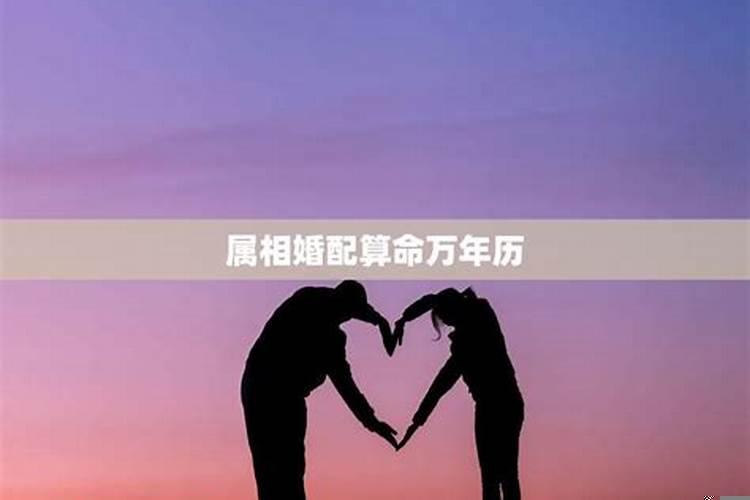 已婚女人梦见男人送花给自己