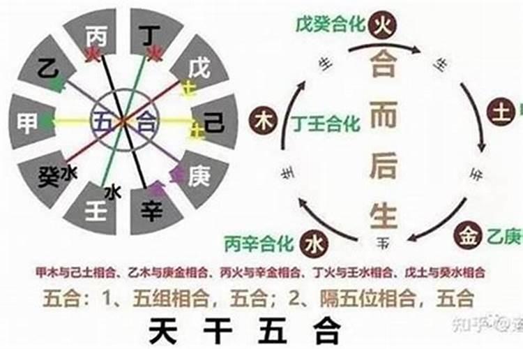 3月出生是属什么生肖