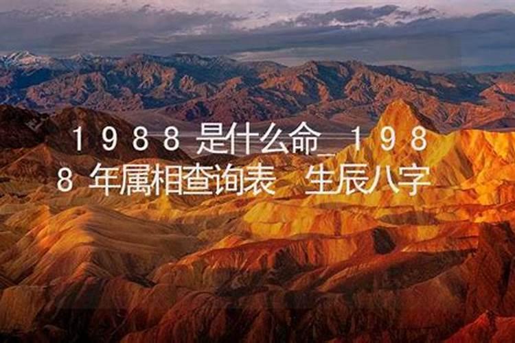 1988年的属相是什么