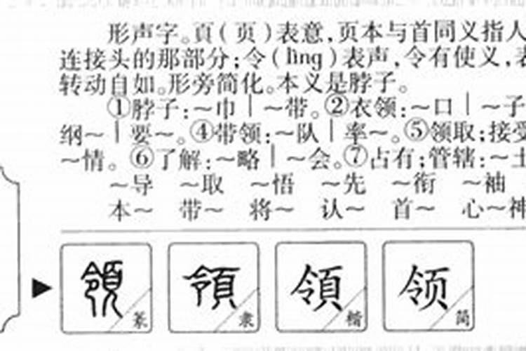 领字五行属什么属性