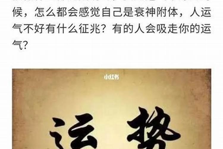 梦见猫抓老鼠并且叼着它走