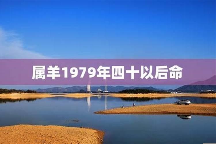 1979年羊人40岁后命运财运