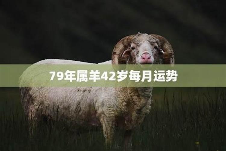 79年属羊40岁以后交运