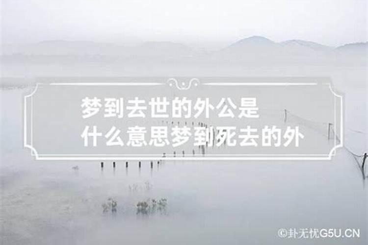 捡了一条狗后运气越来越好