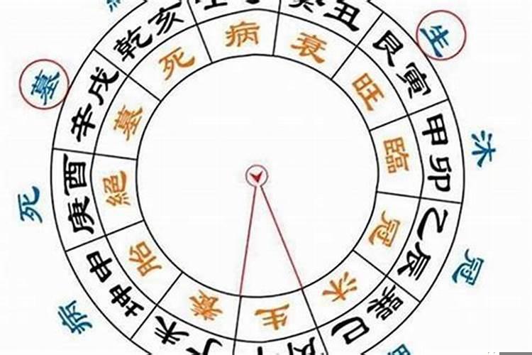 天顶星座和天底星座看相貌区别大吗女生