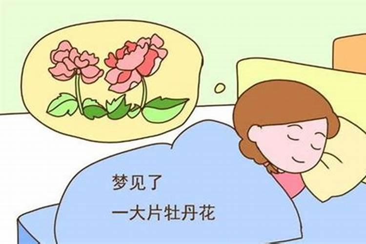 梦见上树是什么征兆女性怀孕