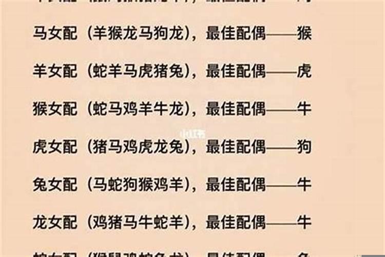 22岁属什么生肖配对男