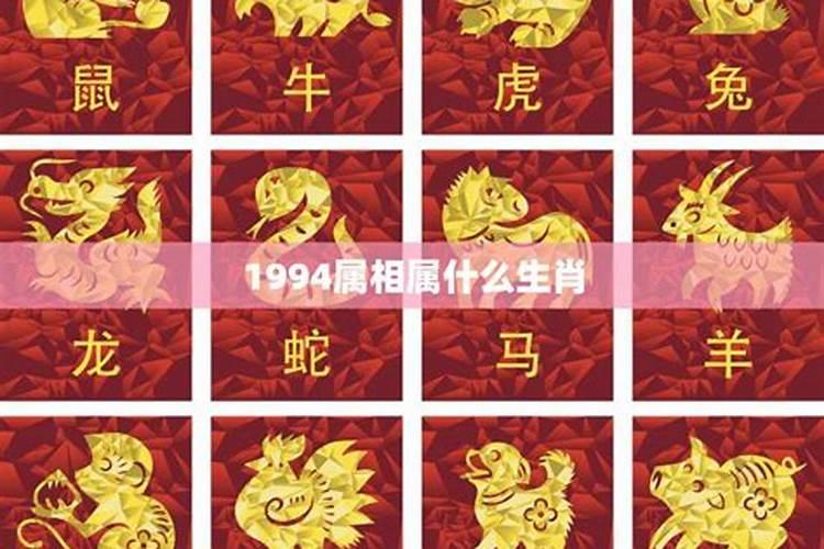 1994年属什么生肖年属什么命