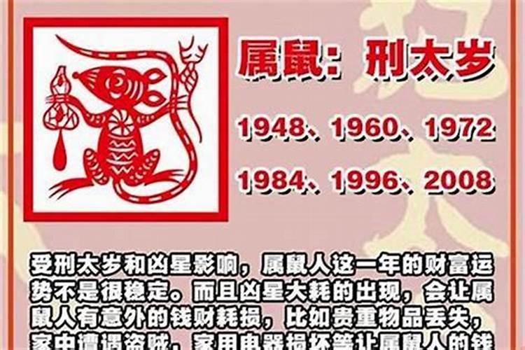 属兔的今年的运气如何