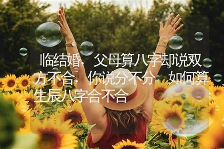 梦见把花拿回家中着