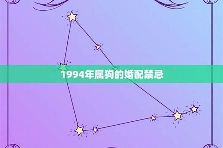 属狗1994年是什么命婚姻