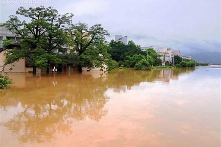 梦见发大水什么预兆