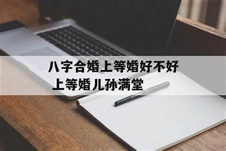 梦见树苗什么意思