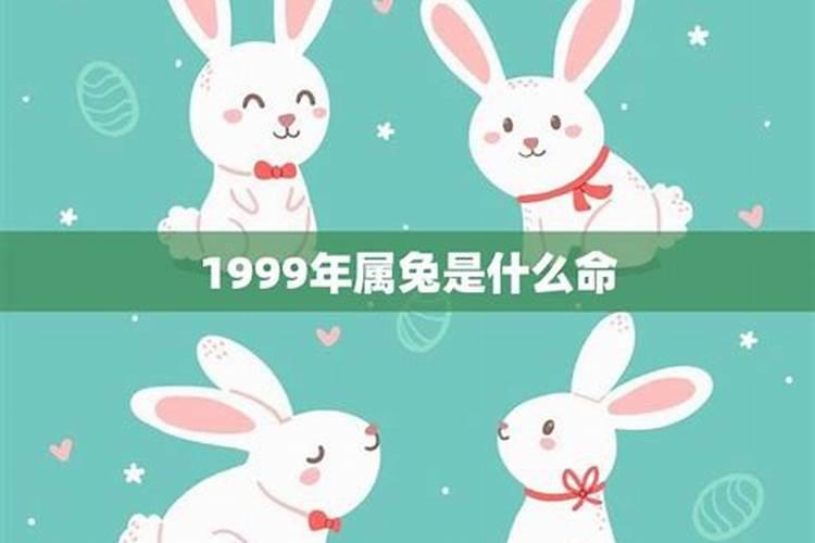 1999年属兔的是什么命男