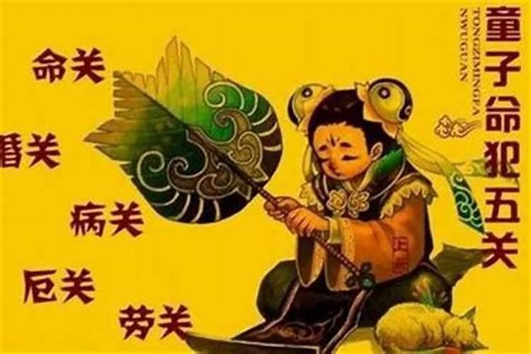 属鼠的人今年多大了