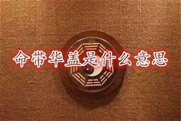 属兔带什么吉祥物招财呢