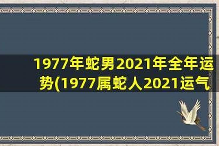 2001年出生的属蛇男适合的职业