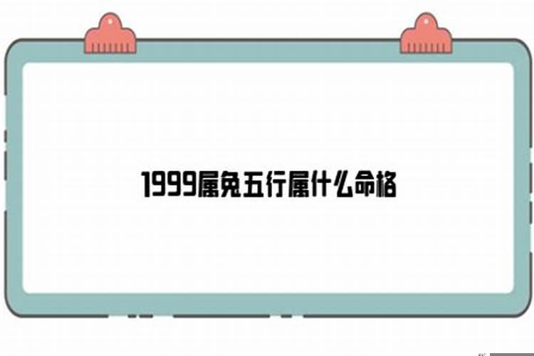 1999属兔属于五行什么命